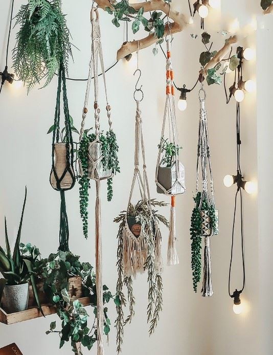 Decorating your garden with hanging string of potted plants